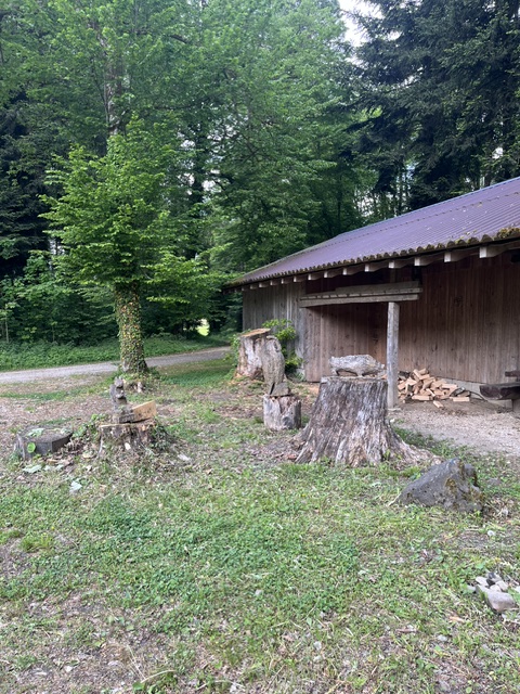 Ein Holzhaus in einem Wald