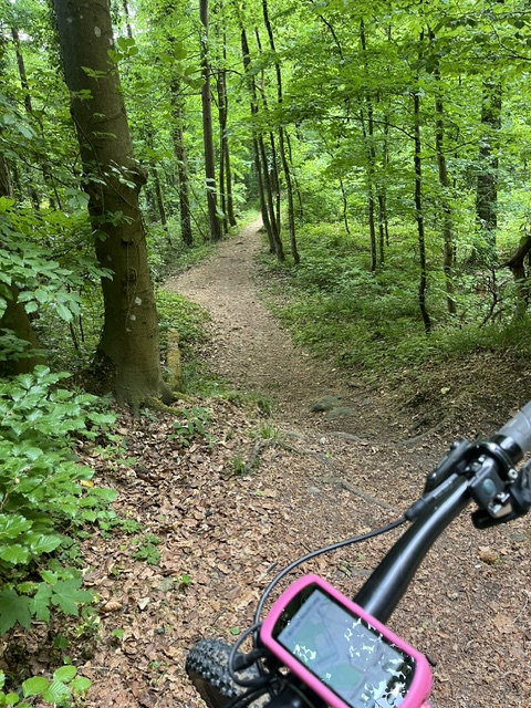 German Die Bildbeschreibung lautet: Ein Radfahrer fährt durch einen Waldweg, wobei die Handgelenke und der Lenker des Fahr...