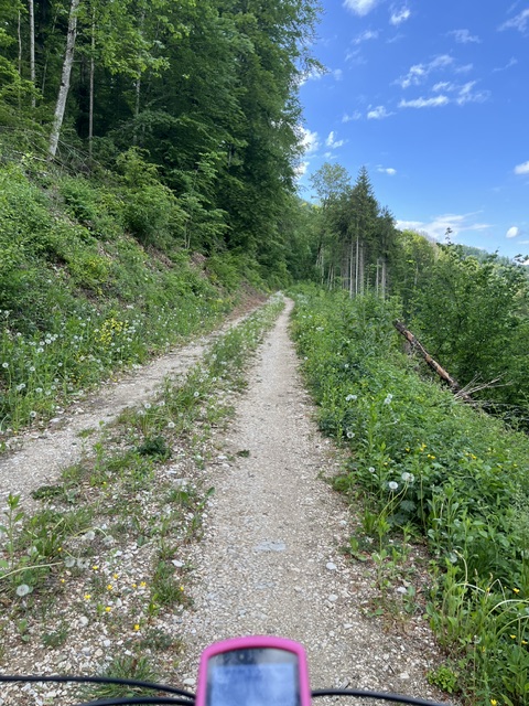 German Bild von einem Fahrradlenker mit Blick auf eine schmale Piste durch einen Wald. Der Himmel ist blau und bewölkt.