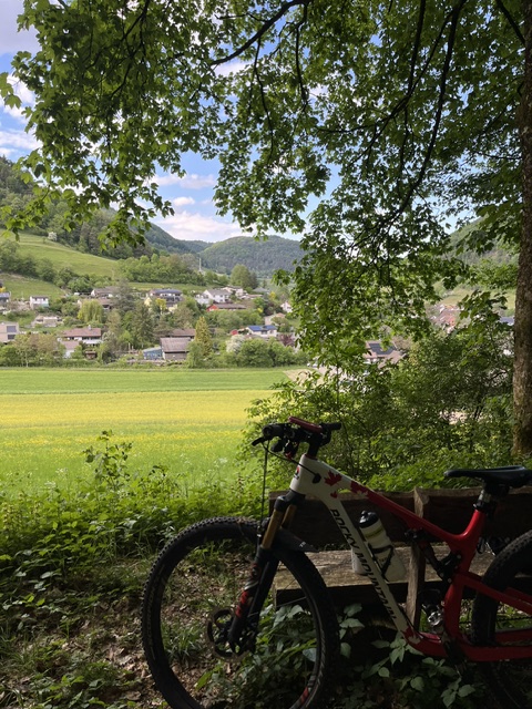 German Das Bild zeigt ein Mountainbike in einem Wald, mit Blick auf eine Ortschaft in der Ferne. Das Fahrrad steht auf ein...