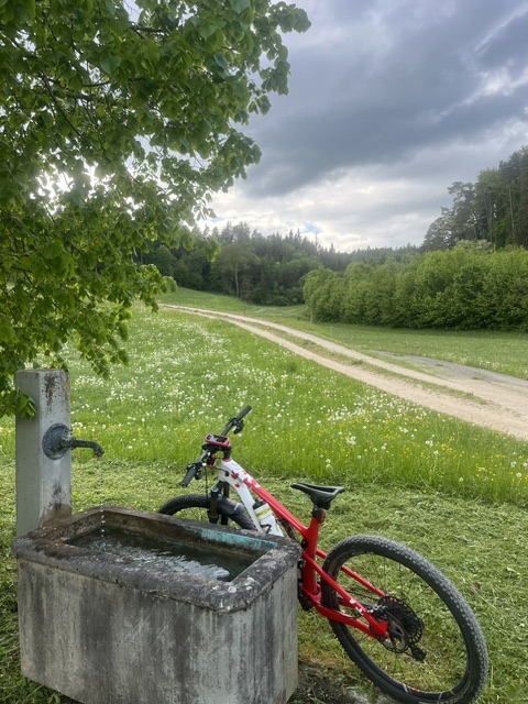 A red and white mountain bike is parked next to a concrete water fountain in a grassy field with wildflowers, surrounded b...
